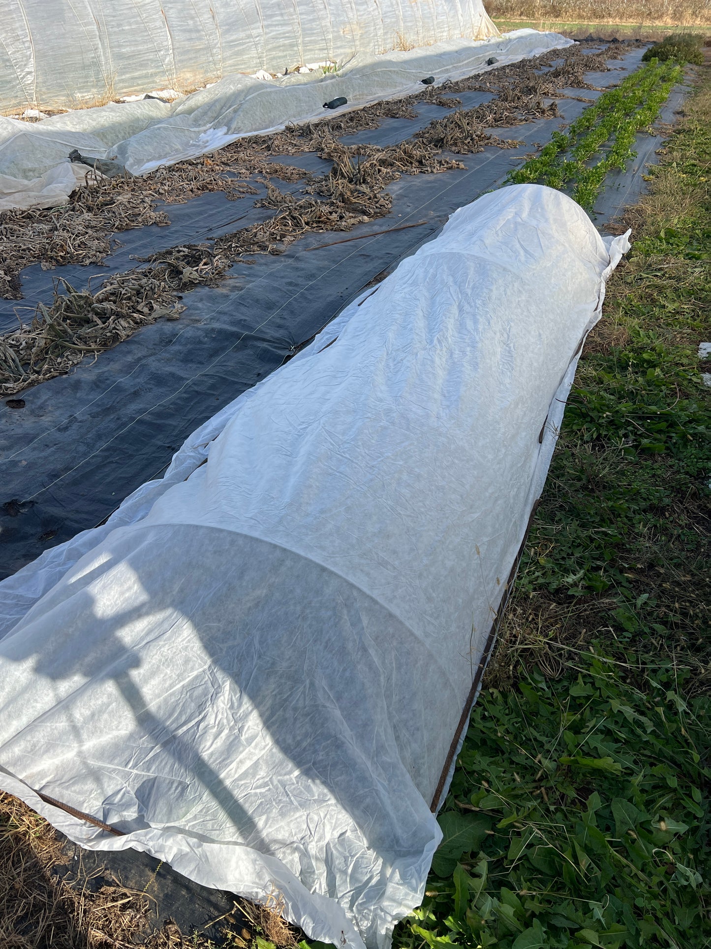 Garden Row Cover 6'x12'