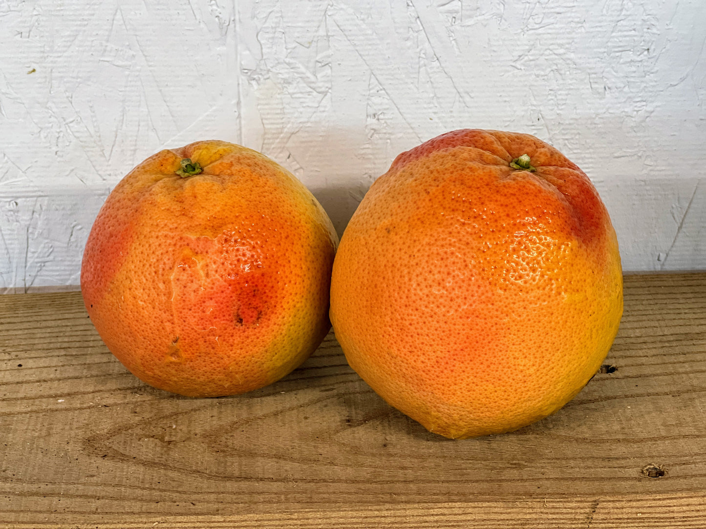 Fresh Georgia Grapefruit