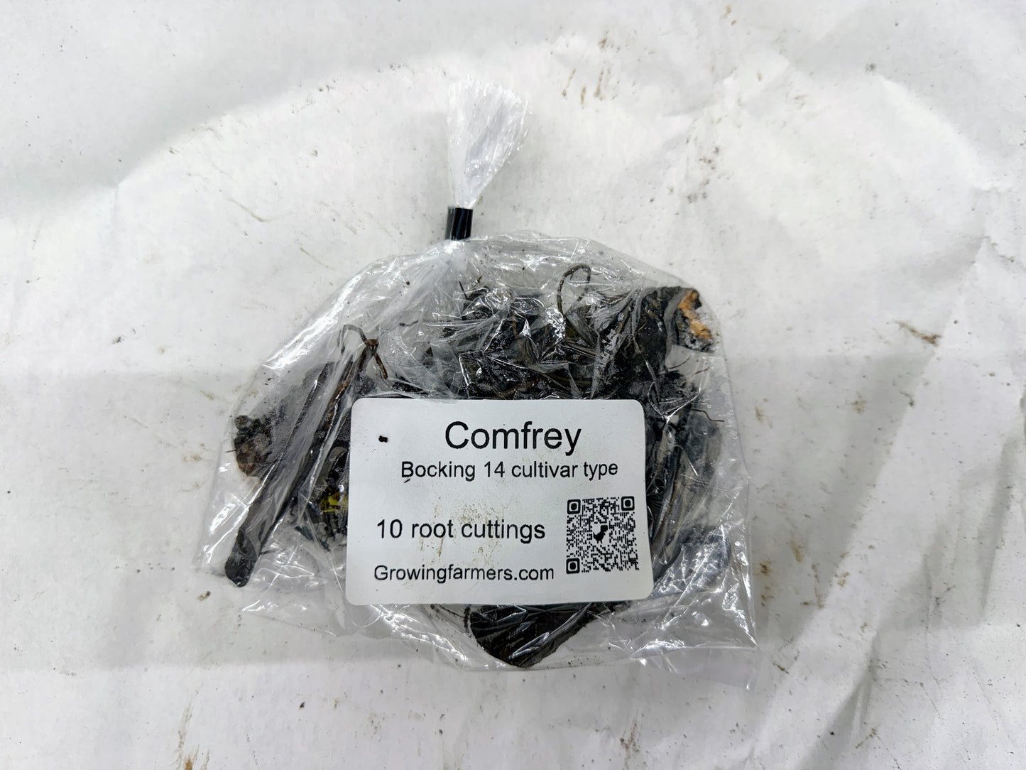 Comfrey ~ Russian Bocking 14 (non-invasive)