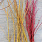 Shown here is Red Dogwood stems next to Flame willow stems