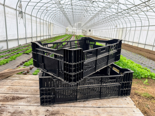 Bulb Crates (Dutch Bulb Mesh Crates) - LOCAL PICKUP