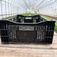 Bulb Crates (Dutch Bulb Mesh Crates) - LOCAL PICKUP