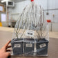 Blueberry Plant Collection - Northern Highbush Trio (Free Shipping)