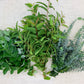 Fresh Eucalyptus Stems - Mixed Decor Bundle