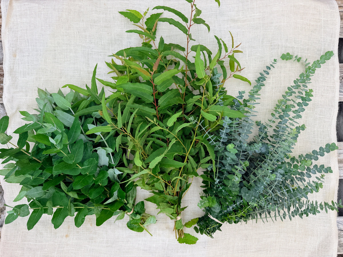 Fresh Eucalyptus Stems - Mixed Decor Bundle