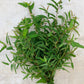 Fresh Eucalyptus Stems - Mixed Decor Bundle