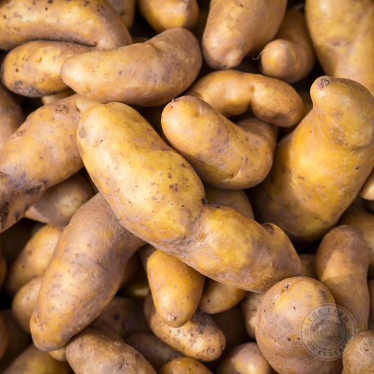 LaRatte Fingerling Potatoes