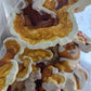 MidAm Gourmet Mushroom Grow Block