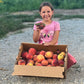 Organic Peaches from Watsonia Farms - PreOrder