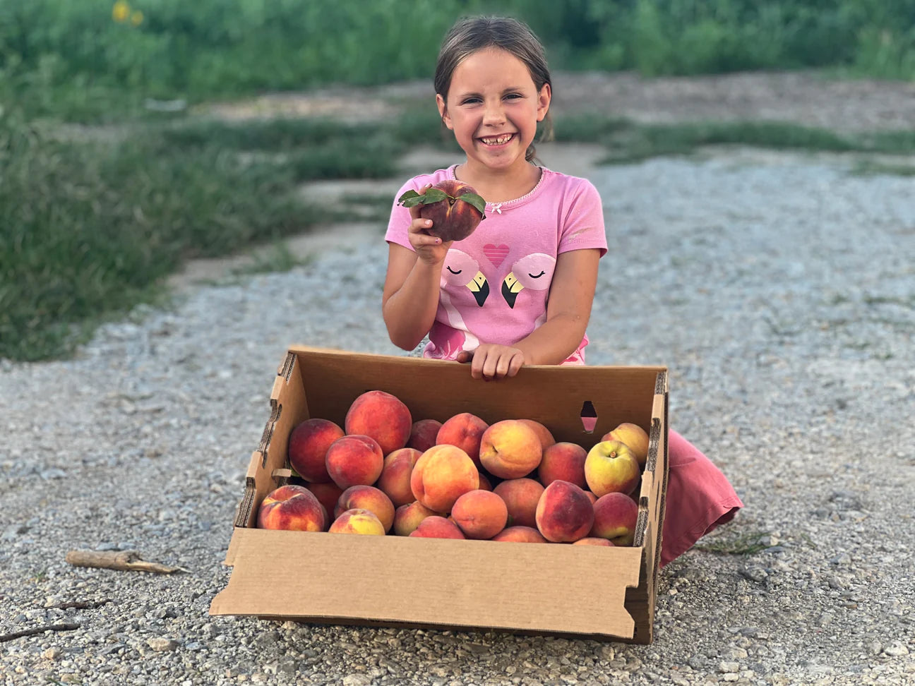 Organic Peaches from Watsonia Farms - PreOrder