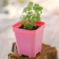 5" Heavy Duty Nursery Pots