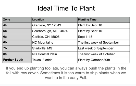 When To Plant