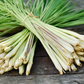 Lemongrass Plant (Cymbopogon citratus)