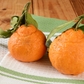 Satsuma Orange - Pre-Order Now for Farm Pickup!