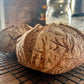 Hazel Sourdough Starter (Gluten-Free)