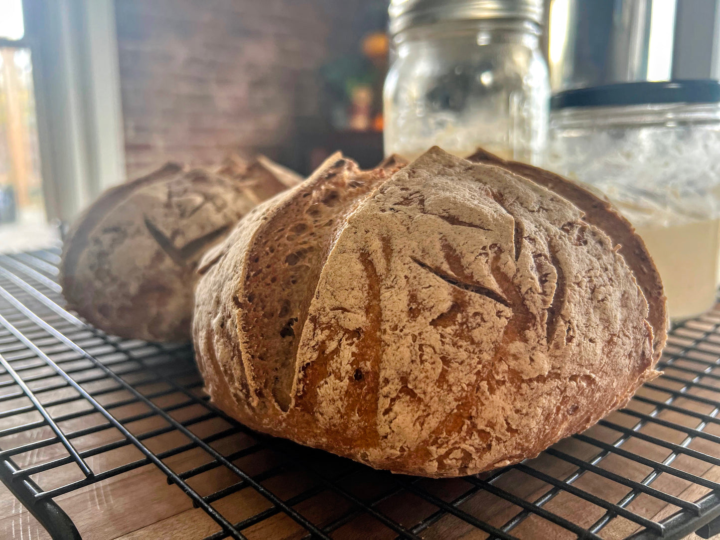 Hazel Sourdough Starter (Gluten-Free)