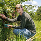 Natchez Blackberry Plant