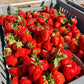 Evie 2 Strawberry Plants