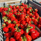 Honeoye Strawberry Plants