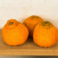 Satsuma Orange - Pre-Order Now for Farm Pickup!