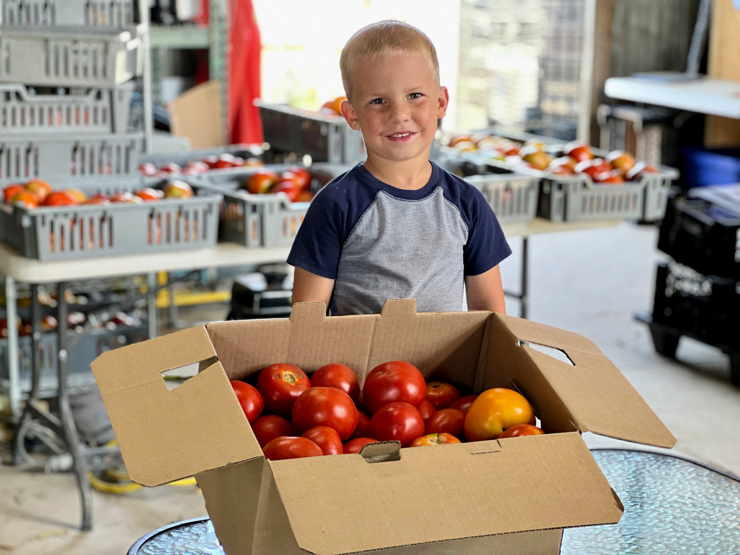 Bulk Tomatoes, 25# box