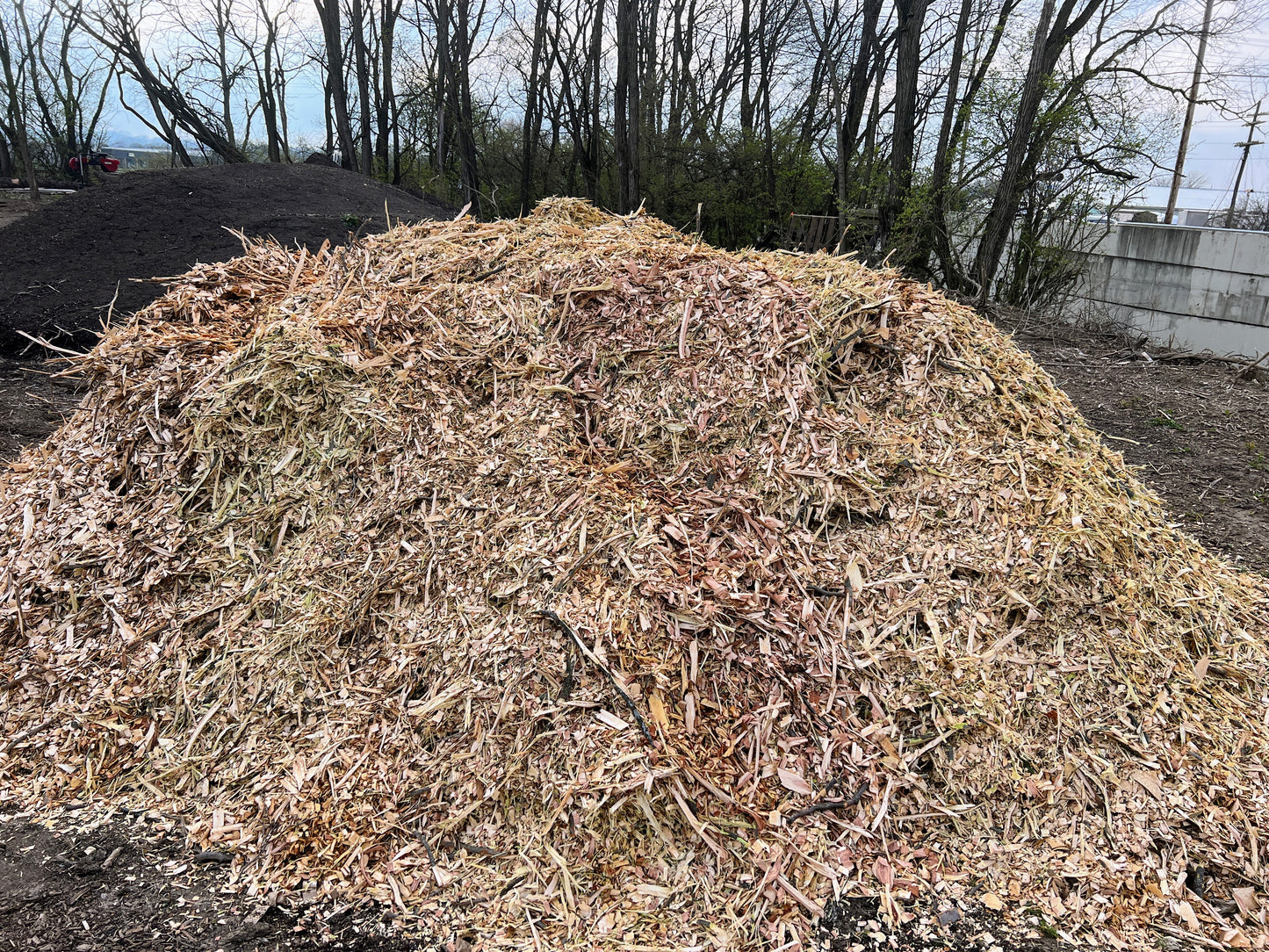 Wood Chips