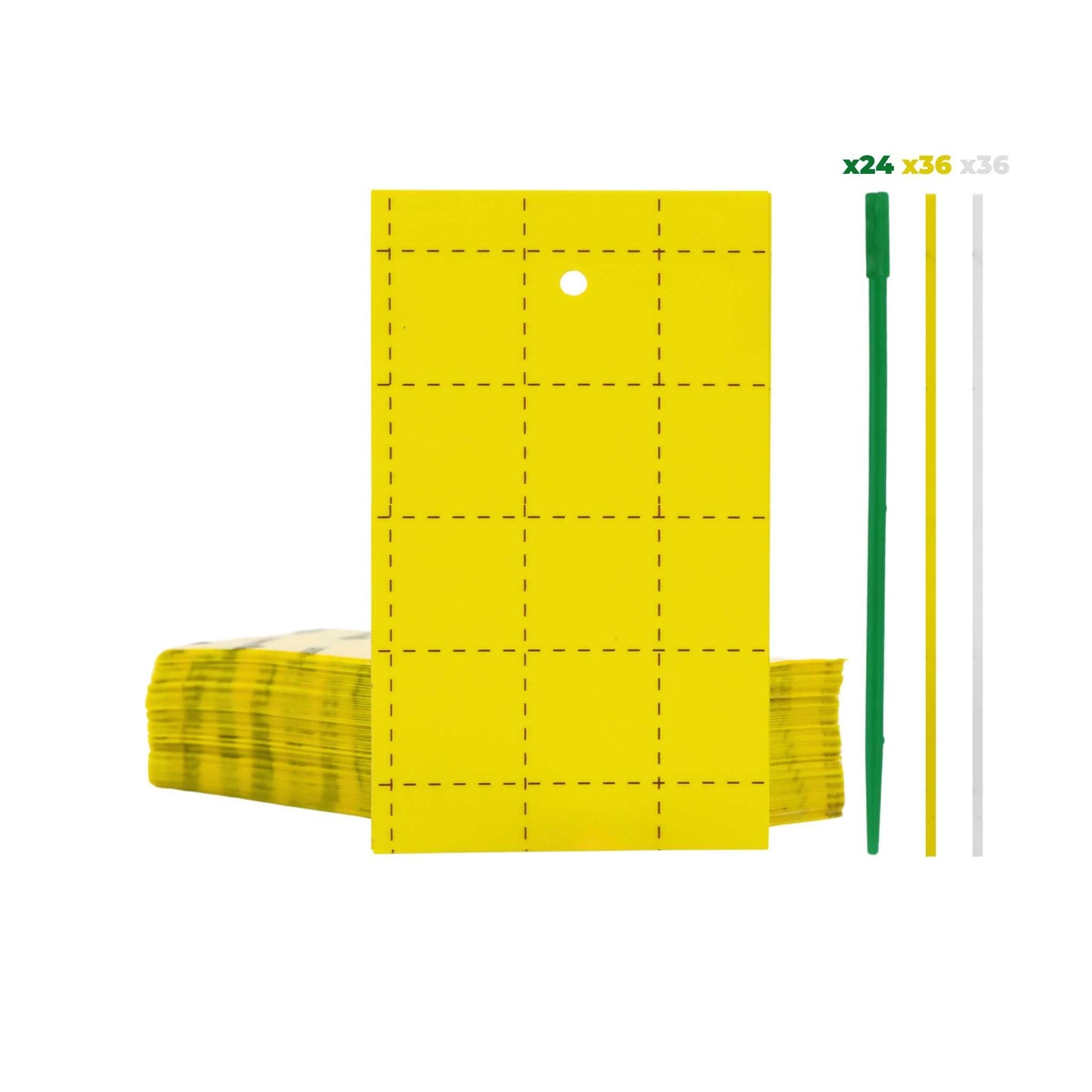 Pest Control Sticky Trap Cards