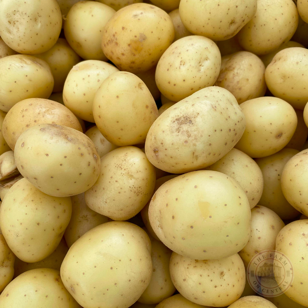 Yukon Gold Potato