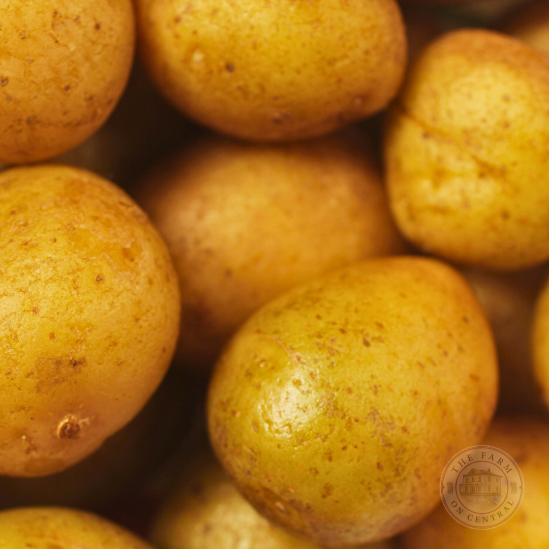 Yukon Gold Potatoes
