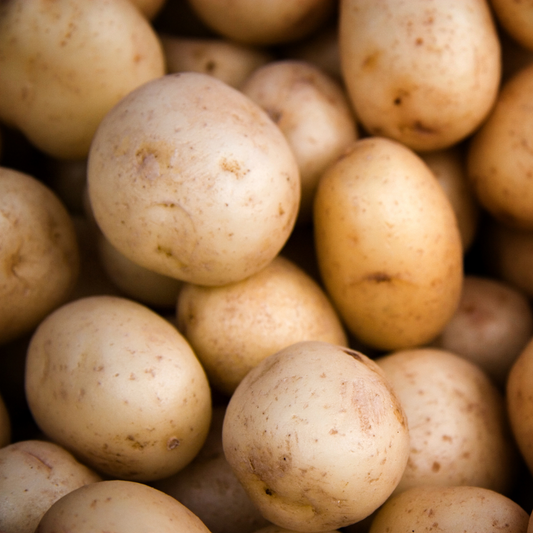 Yukon Gold Potato, Conventional