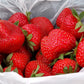 Cordial Strawberry Plugs