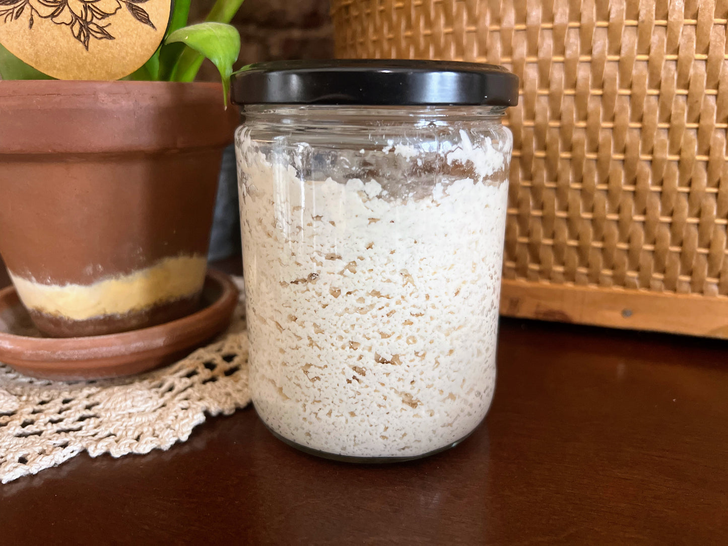 Hazel Sourdough Starter (Gluten-Free)