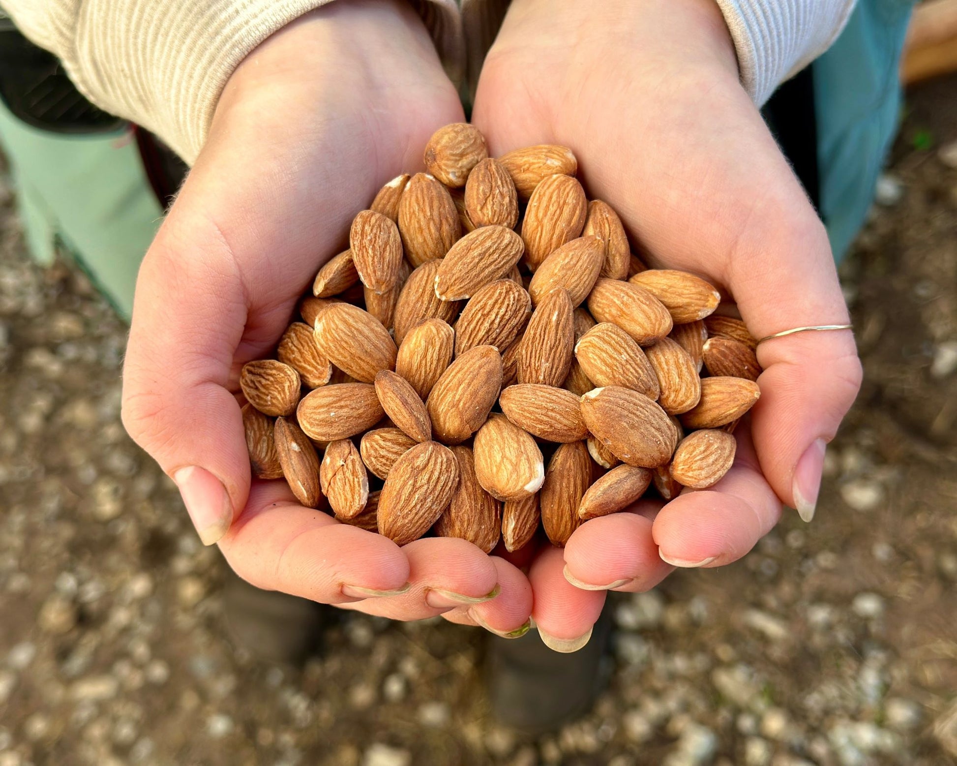 closeup of a handful of organic almonds