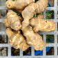 Jerusalem Artichoke Tubers ~PREORDER