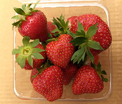 Keepsake Strawberry Plugs
