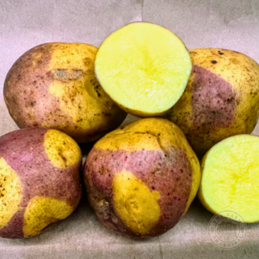 Masquerade Potato
