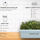 Sproutlet Indoor Microgreen Grow Kit: 3-Pack