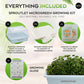 Sproutlet Indoor Microgreen Grow Kit: 3-Pack