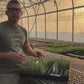 Inspirational Lavender Plants