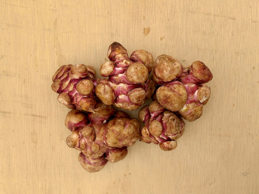 Jerusalem Artichoke Tubers ~PREORDER
