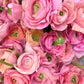 Italian Ranunculus & Anemone Collection – Try Before You Commit!