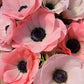 Italian Ranunculus & Anemone Collection – Try Before You Commit!