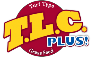 TLC Plus Turf Tall Fescue