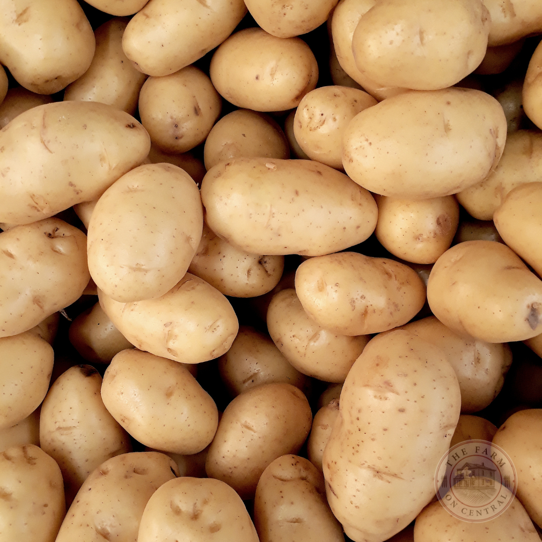 Upstate Abundance: A Small Potato with Exceptional Flavor