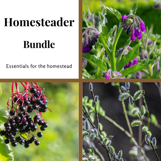 Thriving Homesteader Bundle