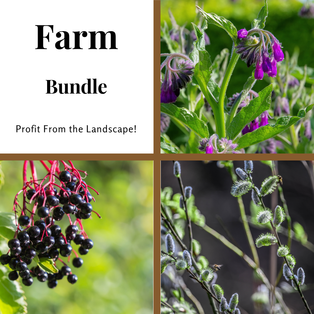 Thriving Farm Bundle