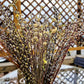 Showy Catkin Floral Mega Willow