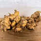 Ginger Root