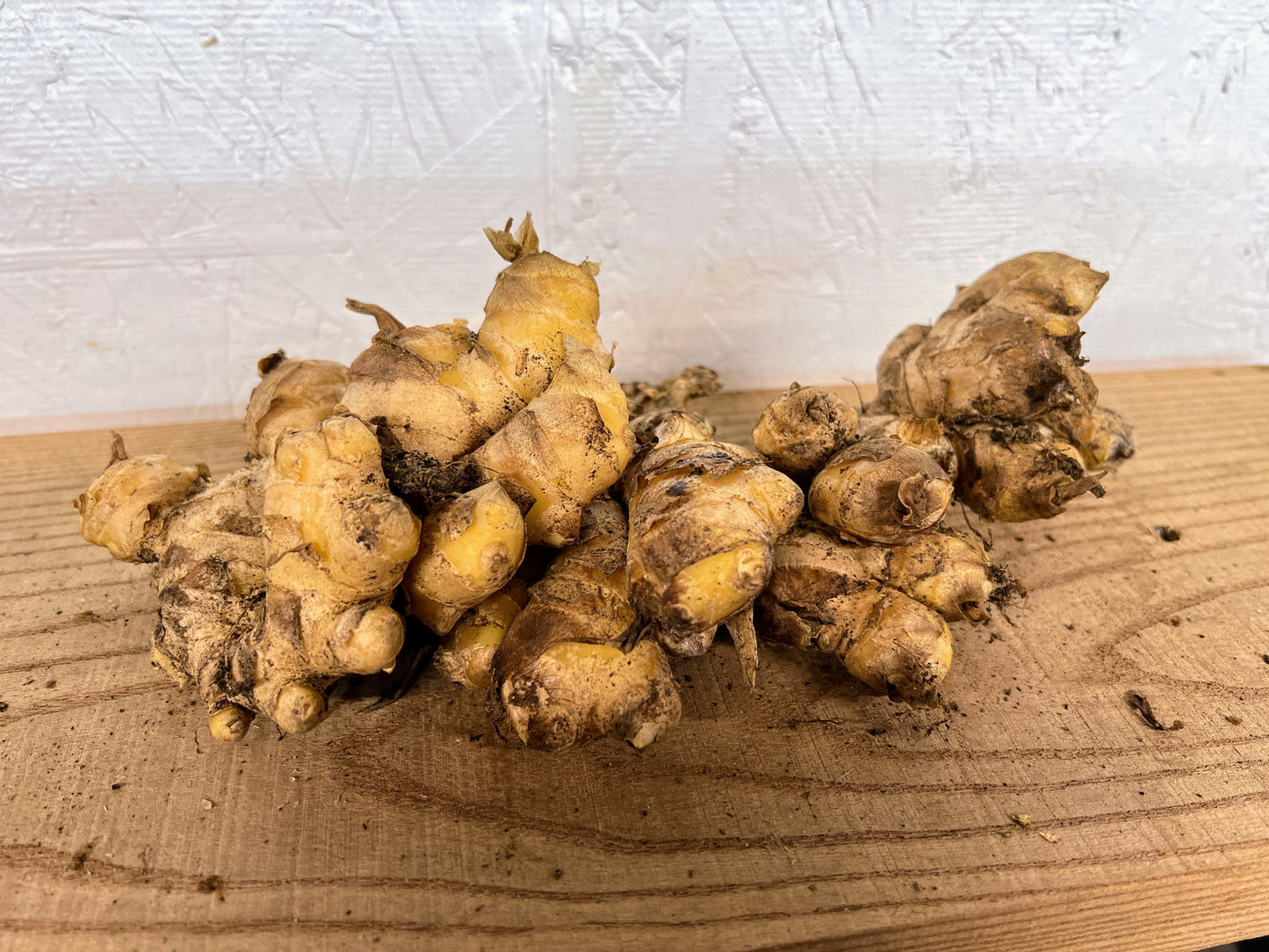 Ginger Root