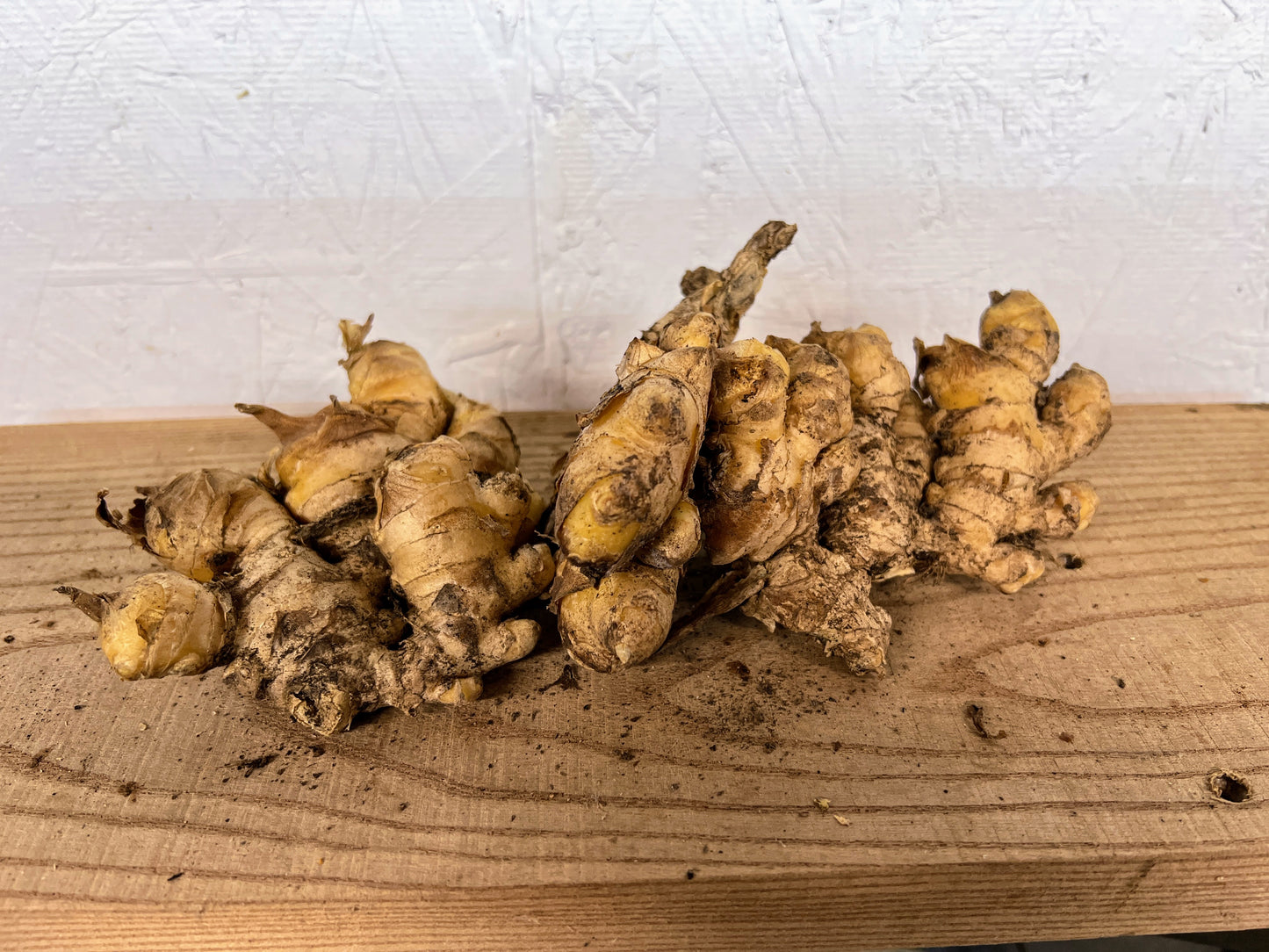 Ginger Root